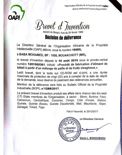 شهادة براءة الاختراع الصادرة عن المنظمة الإفريقية للملكية الفكرية (OAPI)