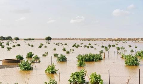 أمطار على قرى وتجمعات سكانية في ست ولايات