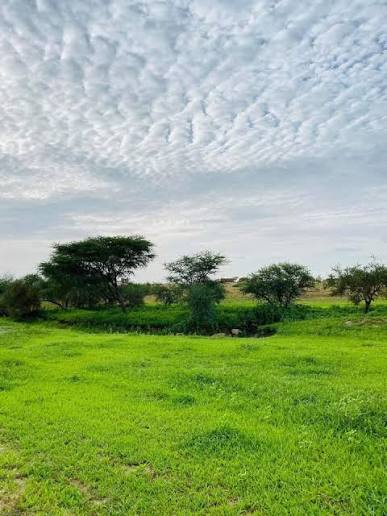 تساقطات مطرية تجاوزت حاجز الـ 70 ملم في بعض المناطق